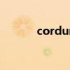 cordura面料贵吗（cordura）