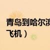 青岛到哈尔滨飞机飞多长时间（青岛到哈尔滨飞机）