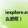 iexplore.exe官方下载（iexplore exe是什么进程）