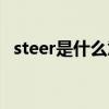 steer是什么意思翻译（steer是什么意思）