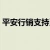 平安行销支持系统在哪（平安行销支持系统）