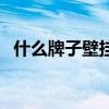 什么牌子壁挂炉好用（什么牌子壁挂炉好）