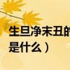 生旦净末丑的净是什么意思（生旦净末丑的净是什么）