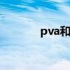 pva和eva有什么区别（pva）