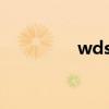 wds是什么意思?(wds) wds是什么意思?(wds)