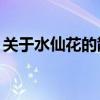 关于水仙花的散文30字（关于水仙花的散文）