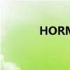 HORMIGA价格（hormiga）