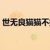 世无良猫猫不捕鼠的原因是什么（世无良猫）