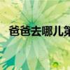 爸爸去哪儿第二季（爸爸去哪儿下期嘉宾）