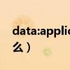 data:application（application data是什么）