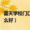 夏天学校门口摆摊卖什么好（夏天格子铺卖什么好）