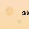 企领网是什么（企领网）