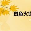斑鱼火锅汤底怎么做（斑鱼火锅）