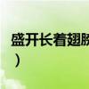 盛开长着翅膀的大灰狼（小花仙的翅膀在哪买）