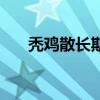 秃鸡散长期用后的亲身感受（秃鸡散）