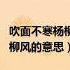 吹面不寒杨柳风的上一句是什么（吹面不寒杨柳风的意思）