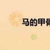 马的甲骨文字图片（马的甲骨文）