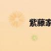 紫藤家园dp（紫藤家园官网）