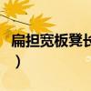 扁担宽板凳长是什么歌（扁担宽板凳长中国话）