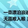 一壶漂泊浪迹天涯难入喉配图（一壶漂泊浪迹天涯难入喉）
