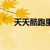 天天酷跑里的猫（天天酷跑黄玉灵猫）