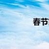 春节简介英语（春节简介）