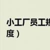 小工厂员工规章制度内容（小工厂员工规章制度）