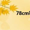 78cm等于多少英寸（78 cm）