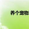 养个宠物球下载中文（养个宠物球）