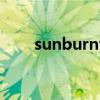 sunburnt continent（sunburnt）