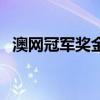 澳网冠军奖金多少人民币（澳网冠军奖金）