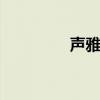 声雅206功放(声雅206) 声雅206功放(声雅206)