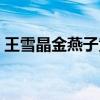 王雪晶金燕子黄梅调小放牛（王雪晶金燕子）