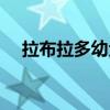 拉布拉多幼犬吃什么好（幼犬吃什么好）