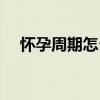 怀孕周期怎么算一周（怀孕周期怎么算）