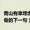 青山有幸埋忠骨下一句是什么（青山有幸埋忠骨的下一句）