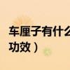 车厘子有什么功效与营养禁忌（车厘子有什么功效）