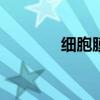细胞膜的功能(bbs的功能) 细胞膜的功能(bbs的功能)