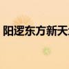 阳逻东方新天地对口小学（阳逻东方新天地）