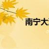 南宁大沙田房价（南宁大沙田）