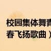校园集体舞青春飞扬舞蹈视频（校园集体舞青春飞扬歌曲）