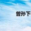 曾孙下一代（曾孙是第几代孙）