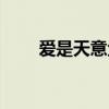 爱是天意金婚主题曲（金婚主题曲）