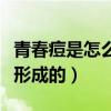青春痘是怎么形成的原因图片（青春痘是怎么形成的）
