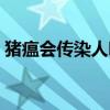 猪瘟会传染人吗百度百科（猪瘟会传染人吗）
