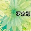罗京到底怎么回事（罗京是谁）