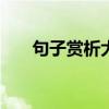 句子赏析大全100字（句子赏析大全）