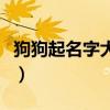 狗狗起名字大全霸气（拉布拉多女狗狗萌名字）