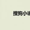 搜狗小说阅读浏览器（搜狗小说）