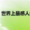世界上最感人的爱情故事（感人的爱情故事）